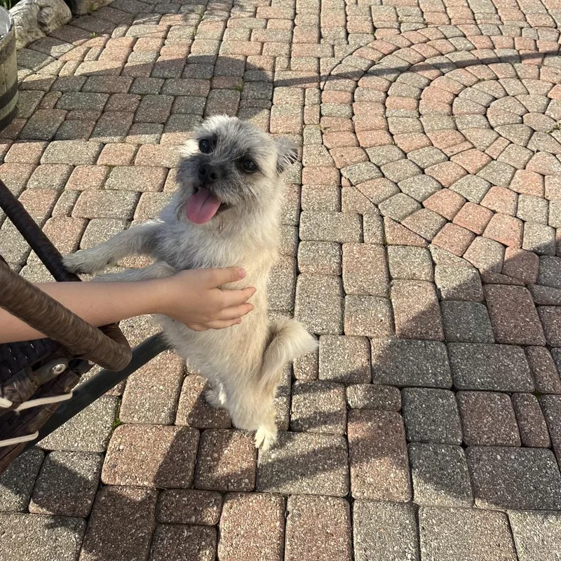 Izzy thumbnail 5