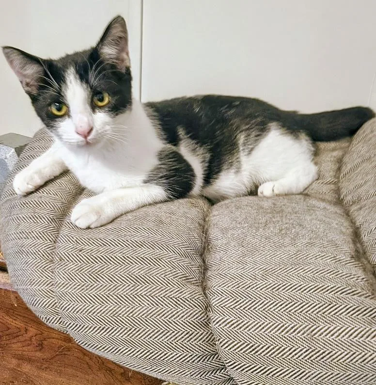 Bw  Courtesy Listing thumbnail 2