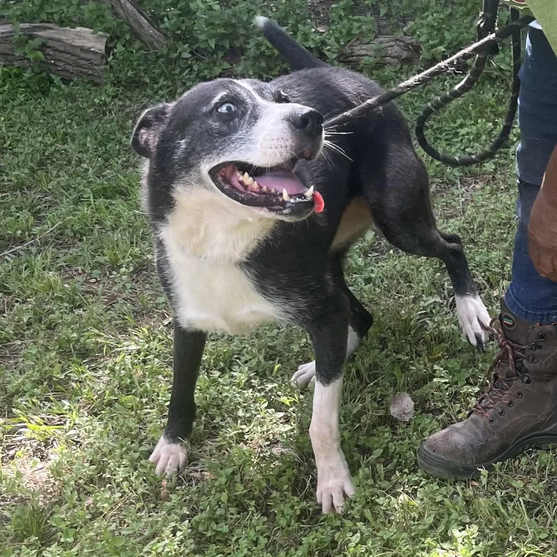 Faith thumbnail 5
