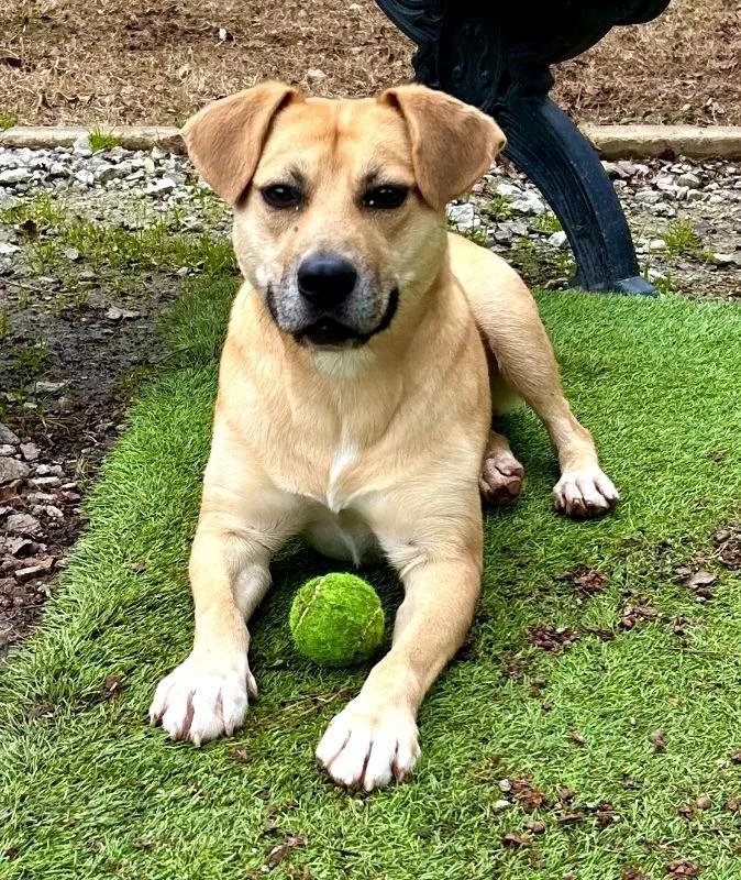 Stacey  Cchs thumbnail 2