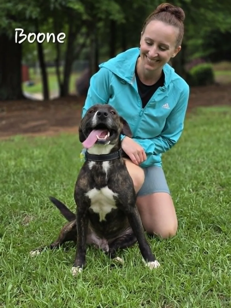Boone thumbnail 3