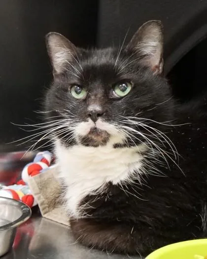 Martha May Whovier thumbnail 3