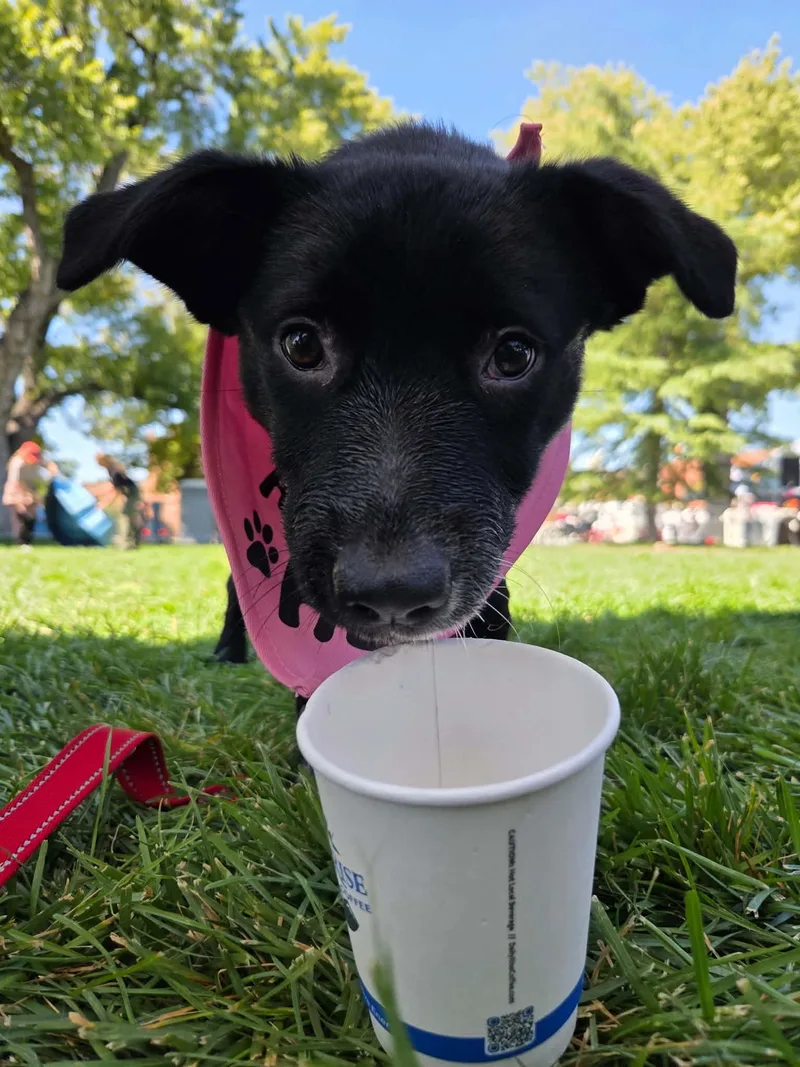 Nyxie thumbnail 3