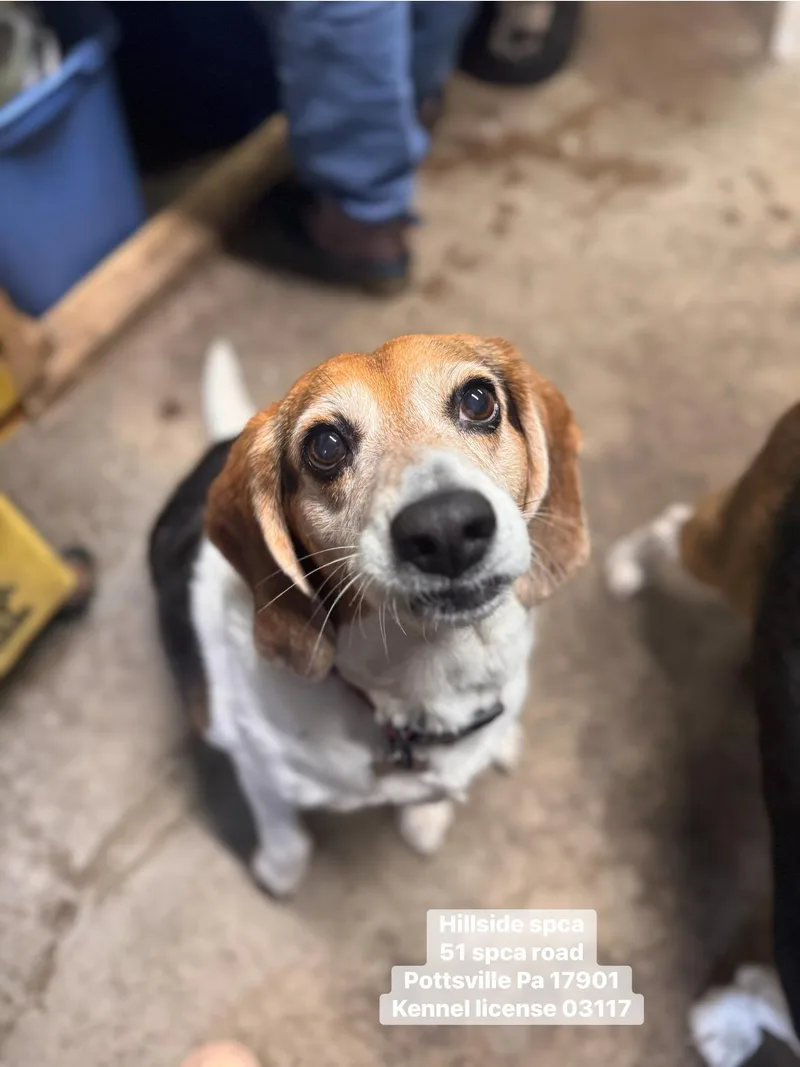 Mia & Miley thumbnail 3