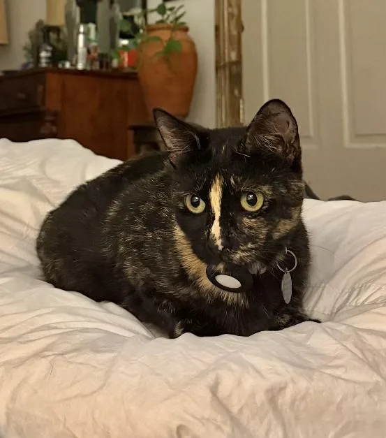 Millie thumbnail 2