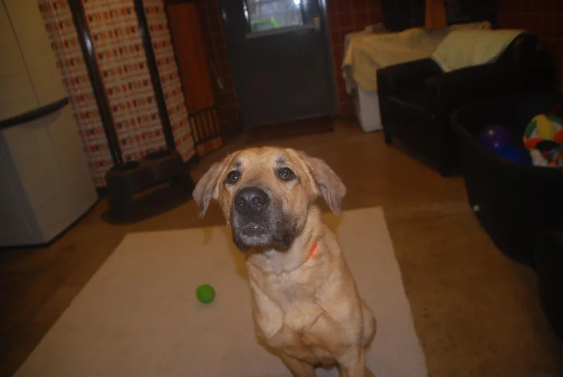 Steely Dan thumbnail 6