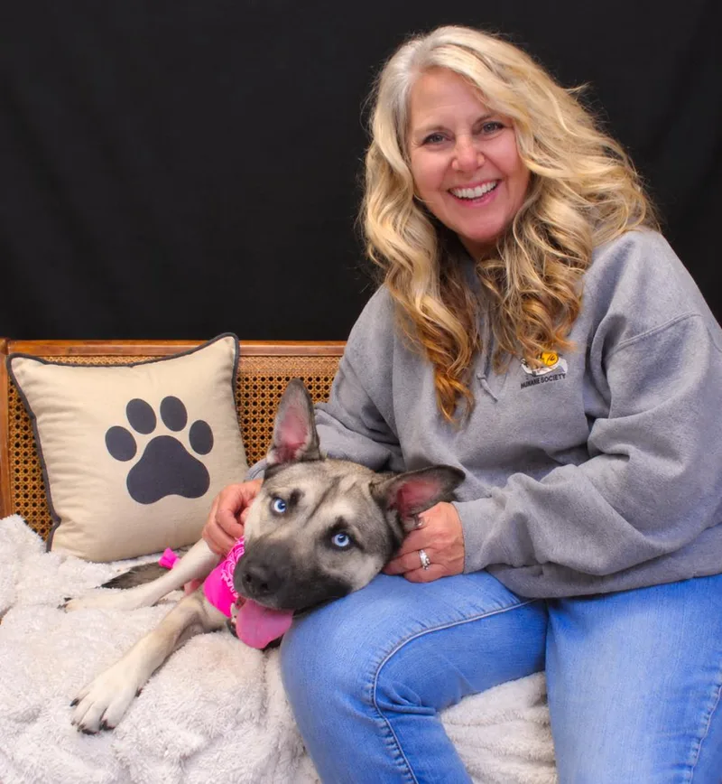 An adult medium-sized female Gray / Blue / Silver Mixed Breed dog named Topanga for adoption in Cheboygan, MI