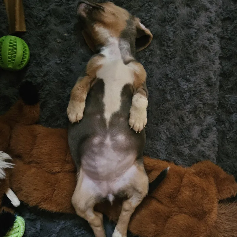 Wasabi thumbnail 6