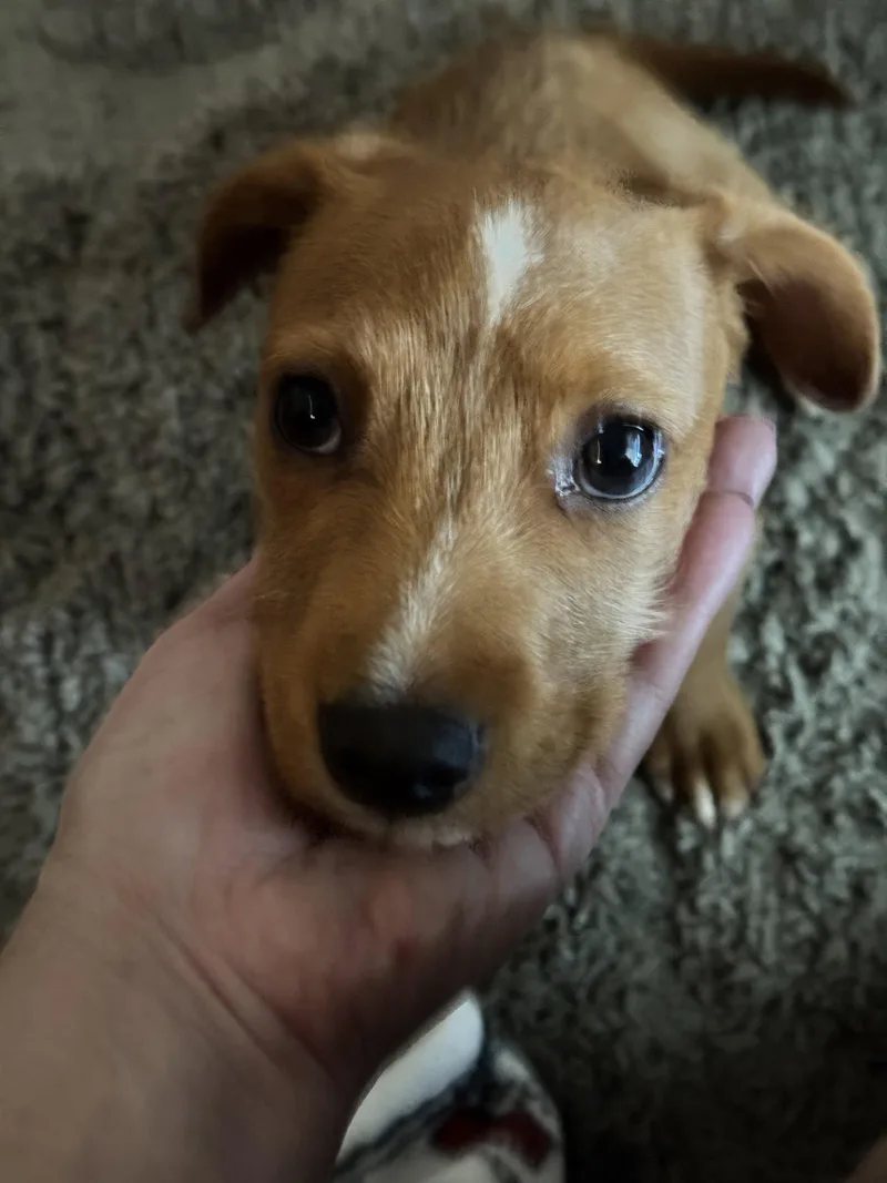 Lucy thumbnail 2