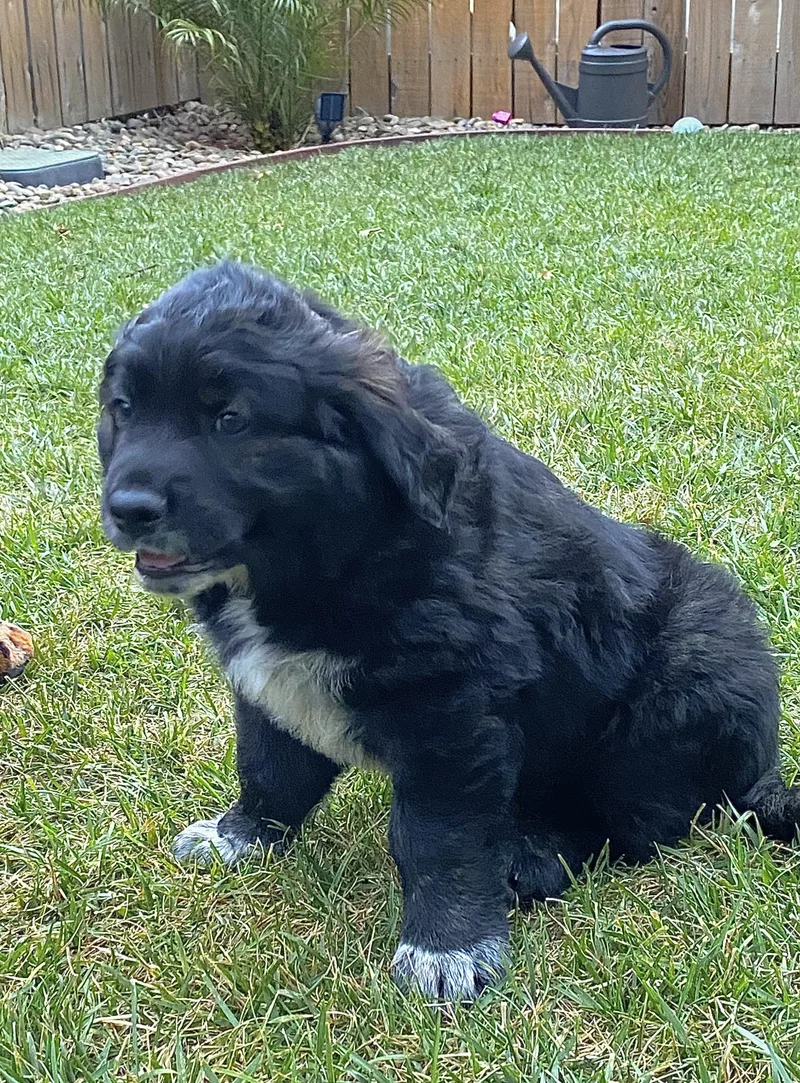 Buster thumbnail 2