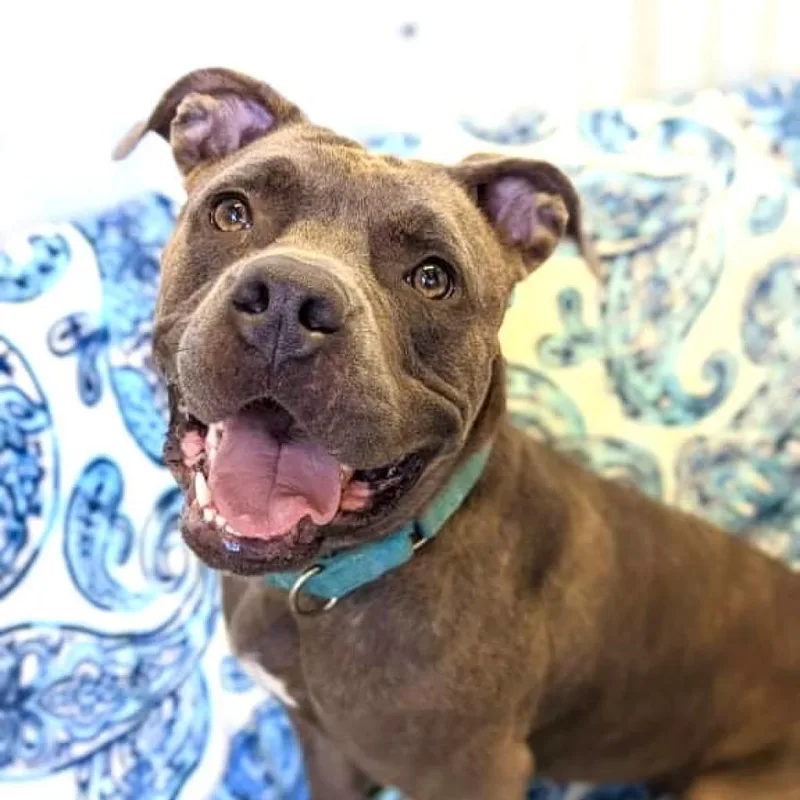 Nala Bell thumbnail 2