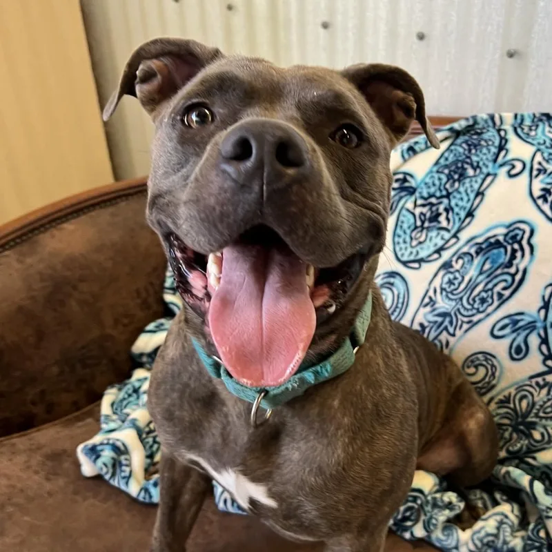 Nala Bell thumbnail 5