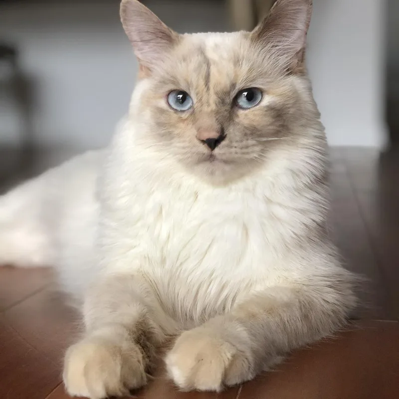 Freya  Home To thumbnail 6