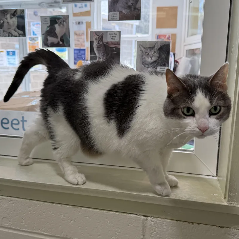 Emma Lou thumbnail 2