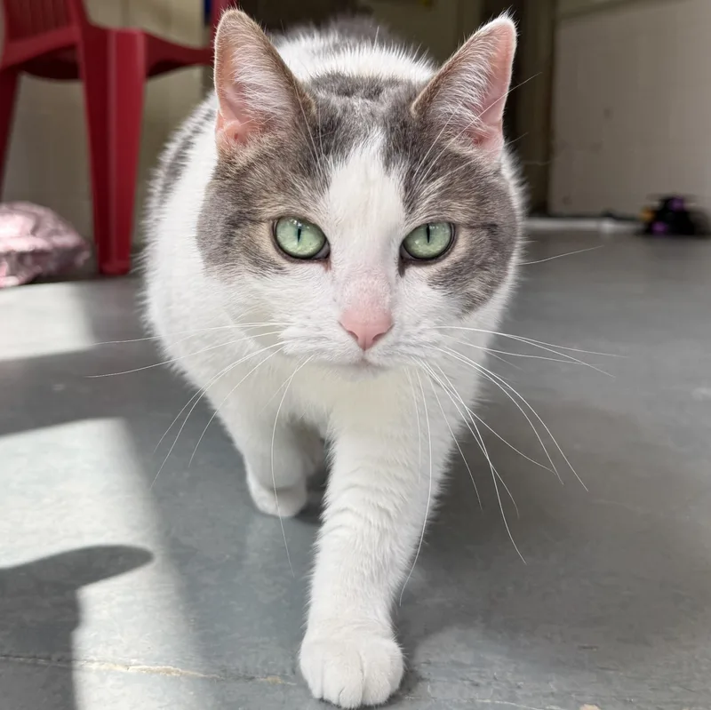 Emma Lou thumbnail 3