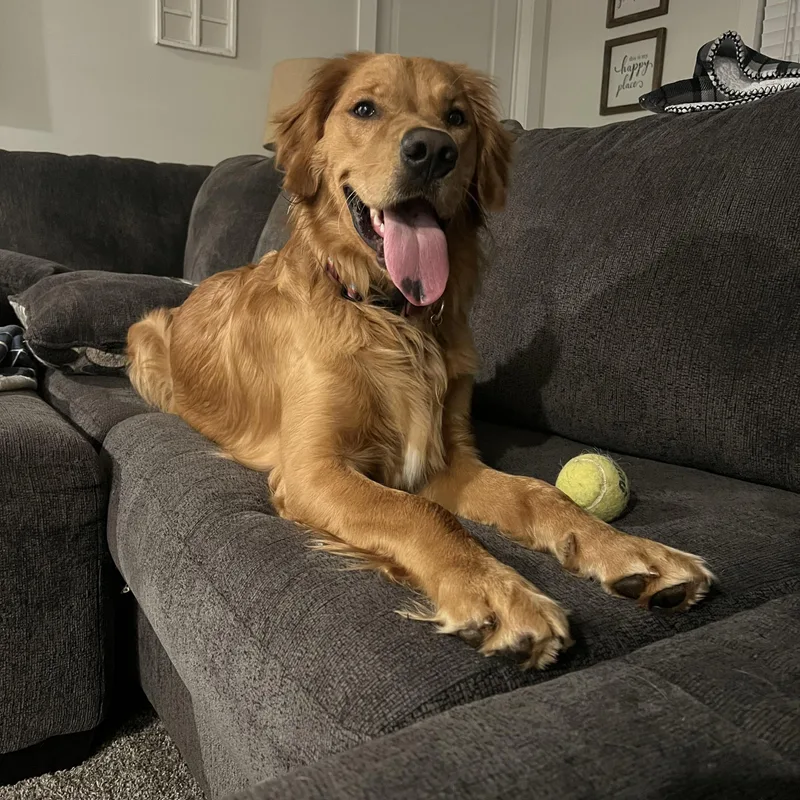 Boone