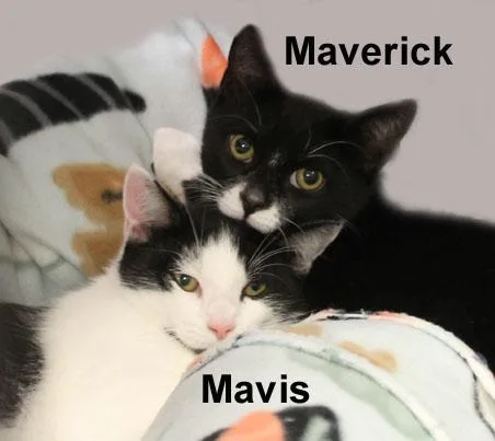 Maverick & Mavis Kent thumbnail 3