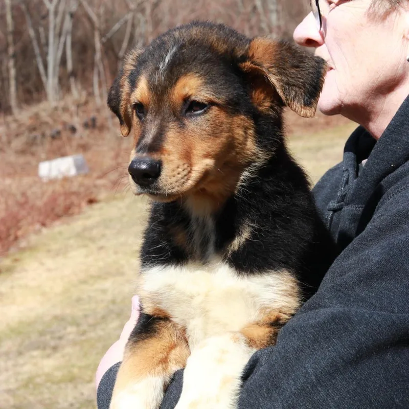 Ct Highway thumbnail 3