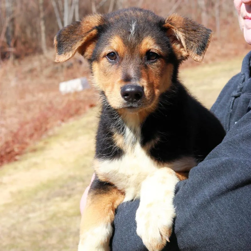 Ct Highway thumbnail 4