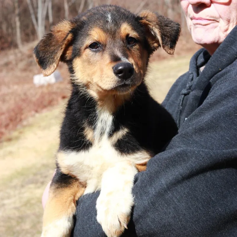 Ct Highway thumbnail 5