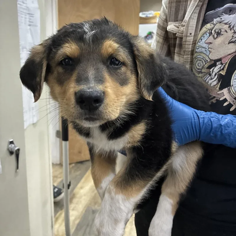 Ct Highway thumbnail 6