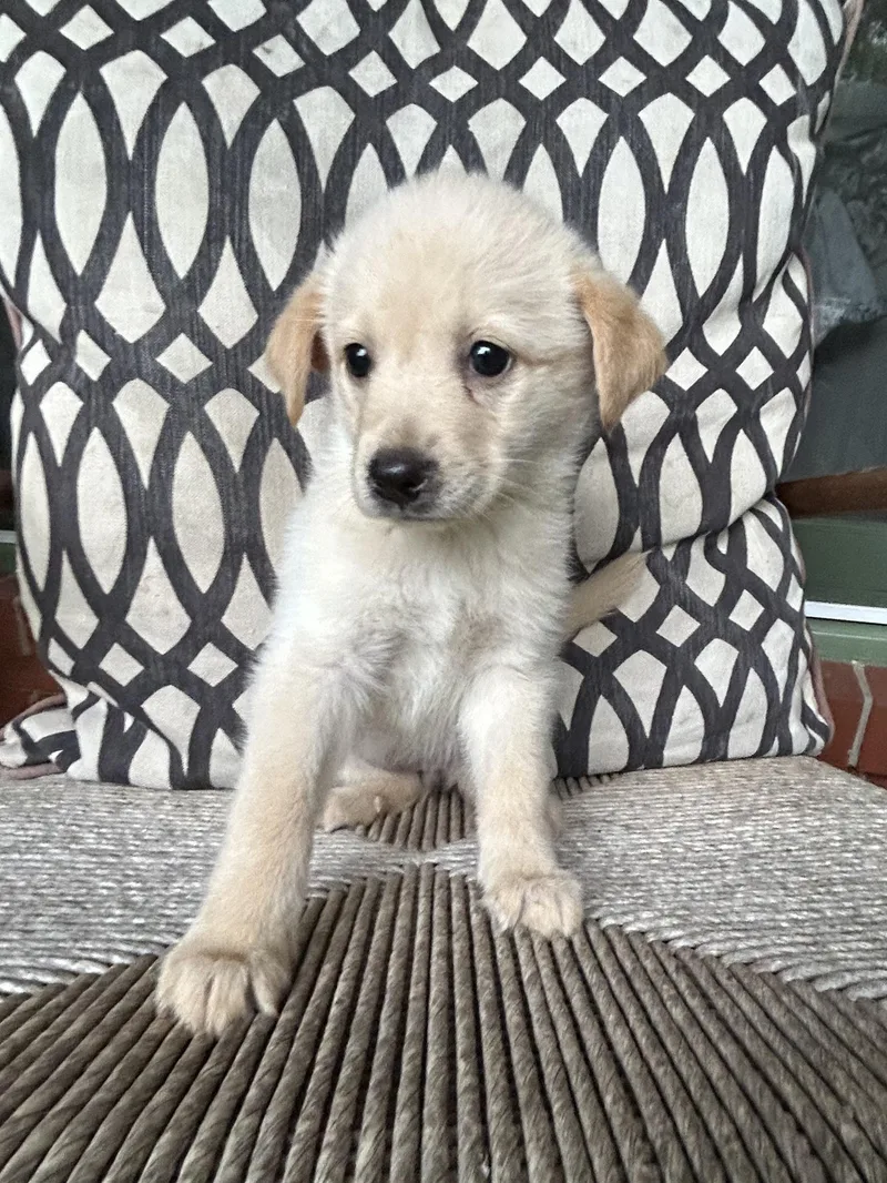 Sadie thumbnail 6