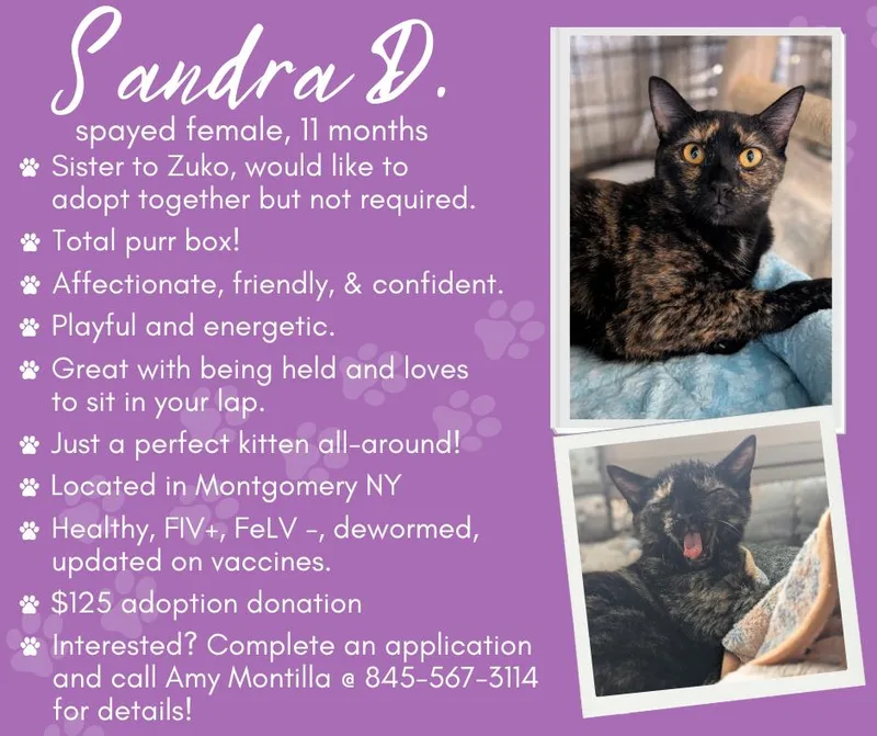 Sandra D. Aka Sandy thumbnail 5