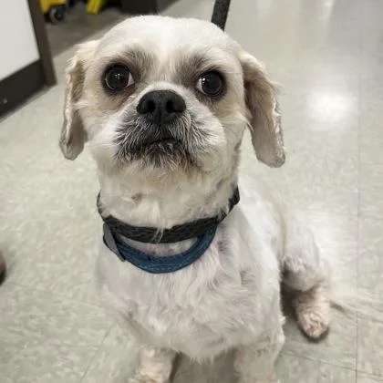 Einstein