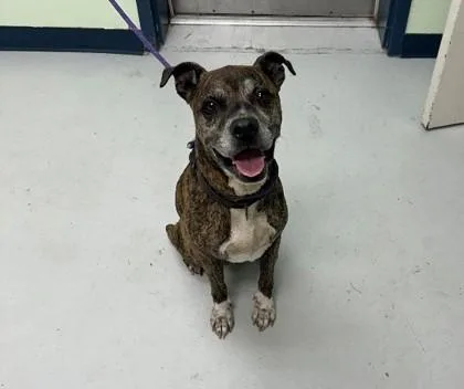 Flint