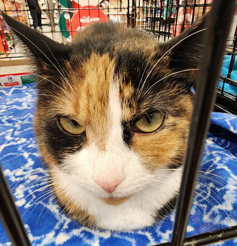 Jennifer thumbnail 2