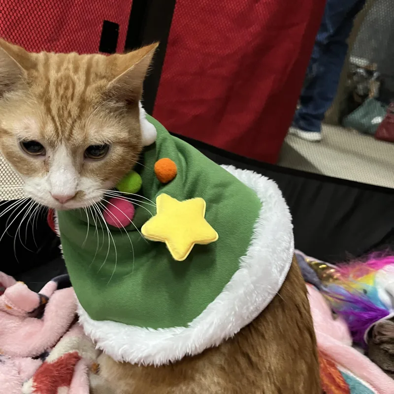 Crunch Wrap thumbnail 6