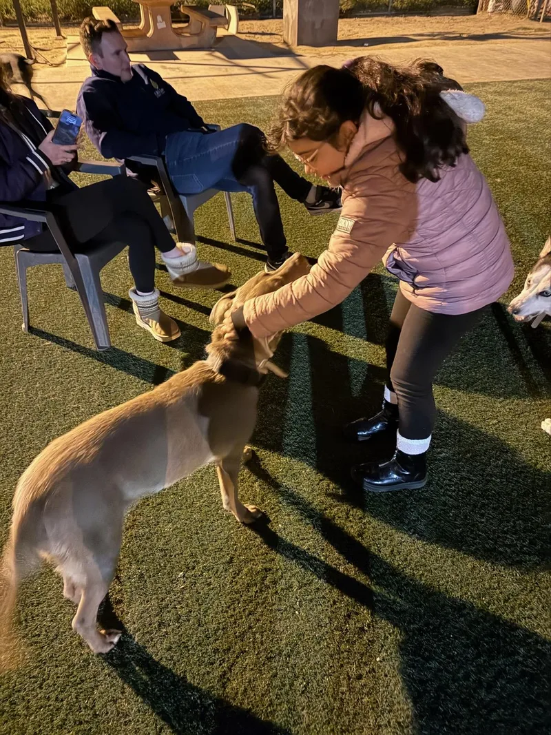 Lovely Luna!! thumbnail 2