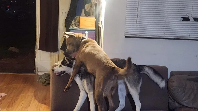 Lovely Luna!! thumbnail 5