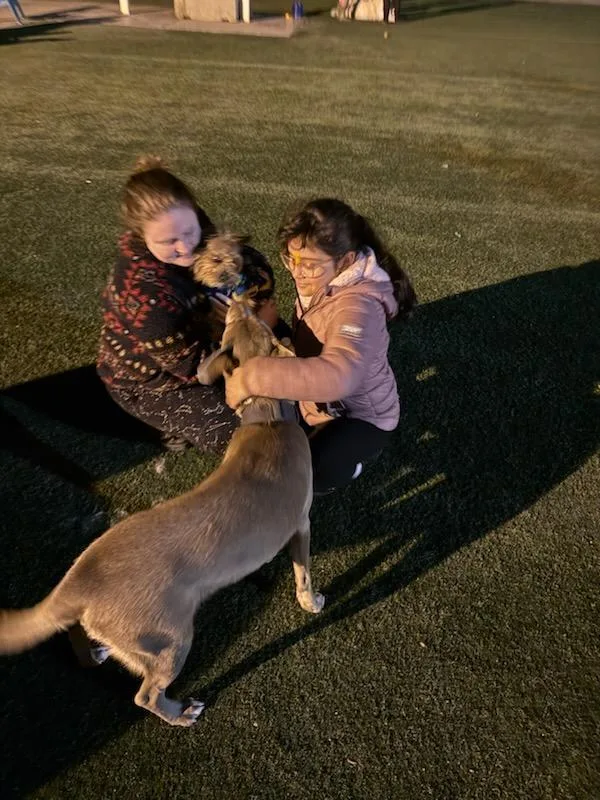 Lovely Luna!! thumbnail 6