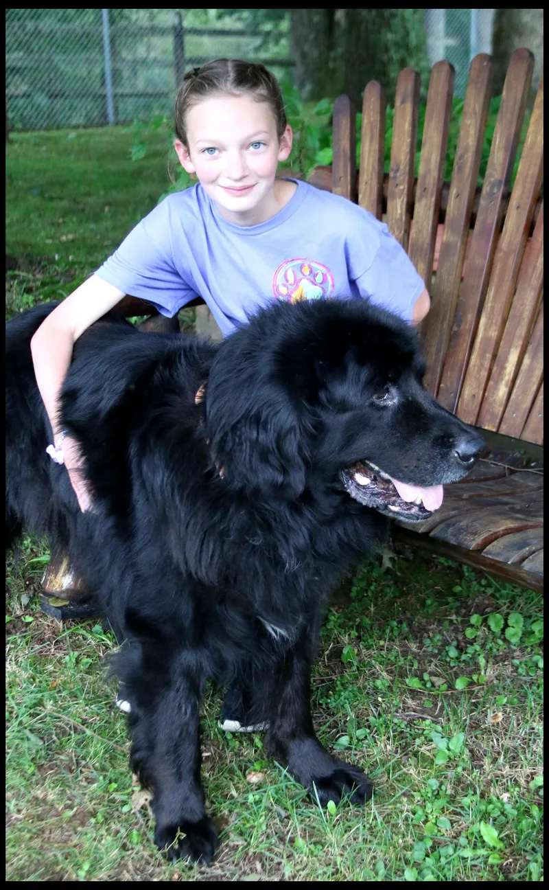 Orson thumbnail 2