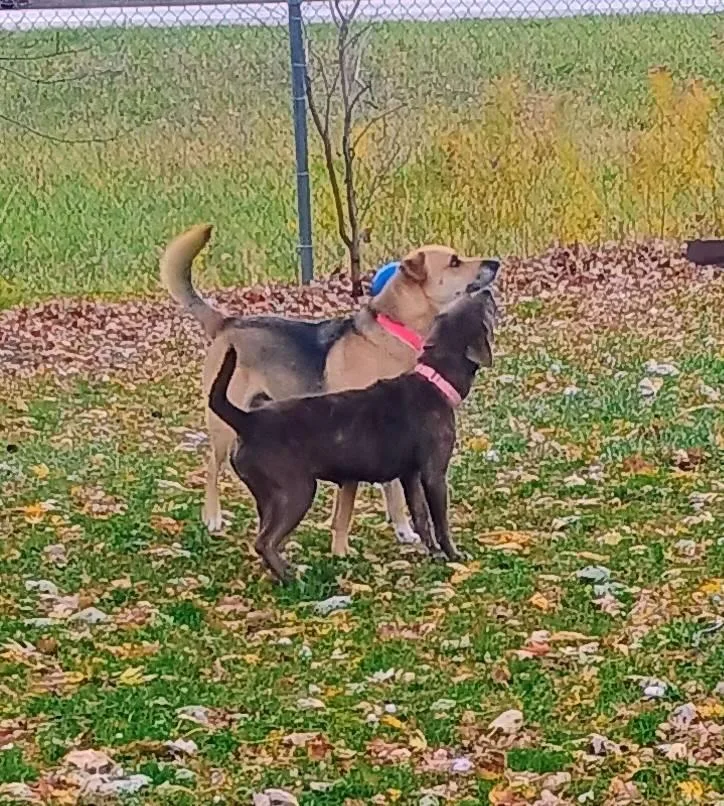 Sabrina [longest Resident] thumbnail 2