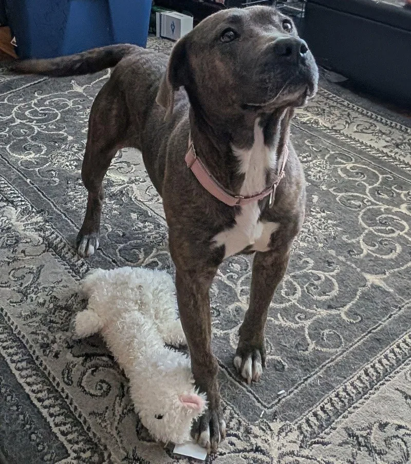 Sabrina [longest Resident] thumbnail 3