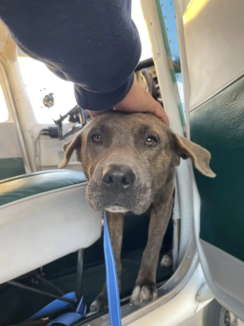 Sabrina [longest Resident] thumbnail 4