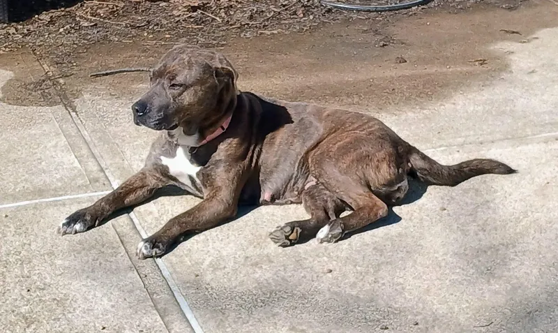 Sabrina [longest Resident] thumbnail 5