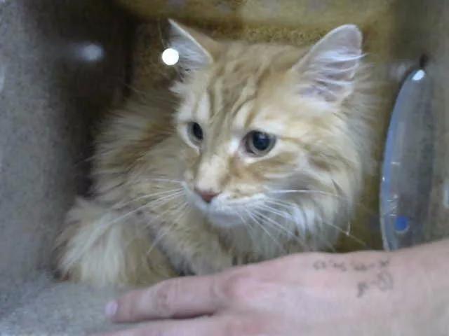 Edmund