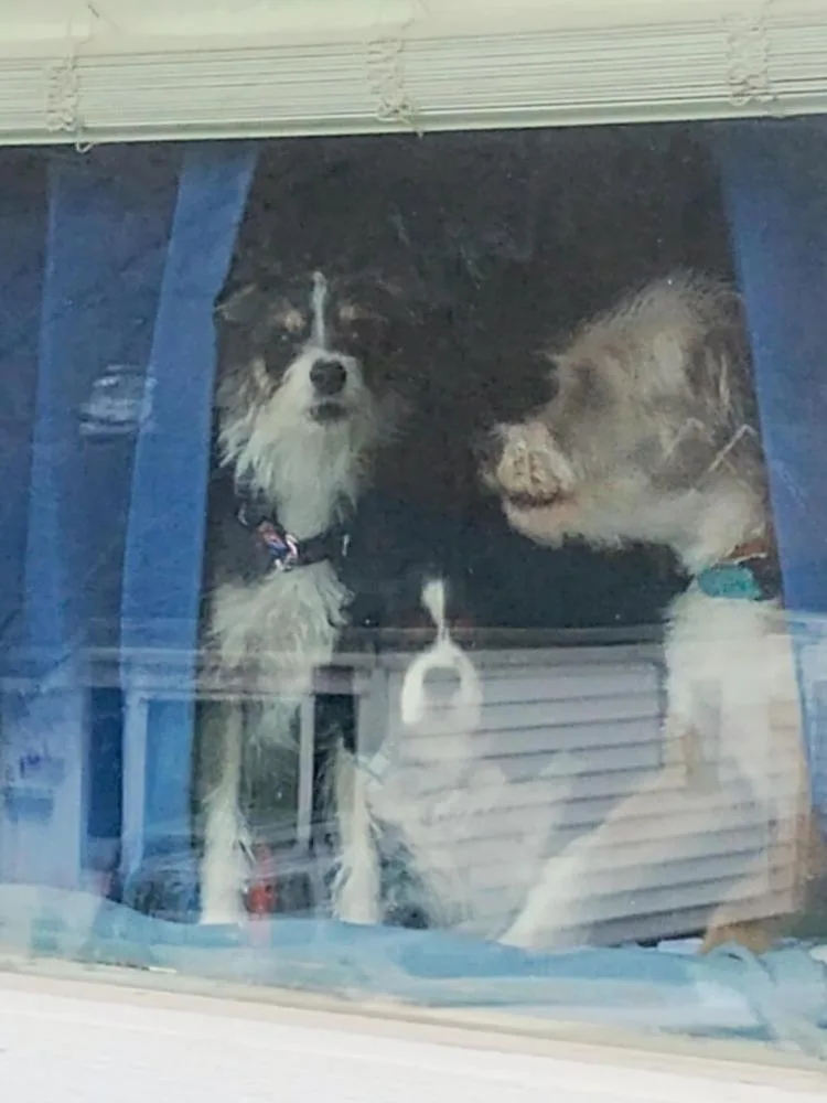 Stephanie. thumbnail 3