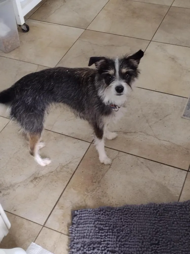 Stephanie. thumbnail 4