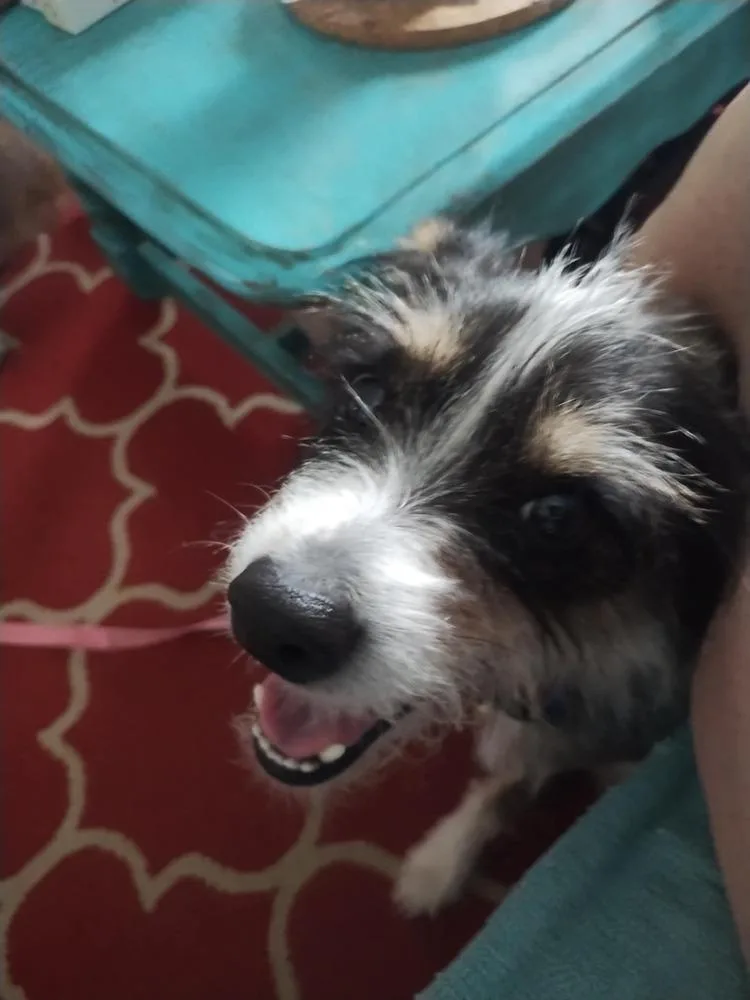 Stephanie. thumbnail 5