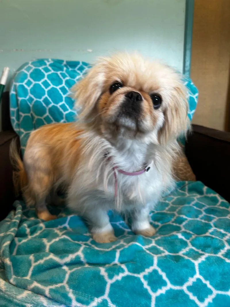 Maylee Mar thumbnail 2