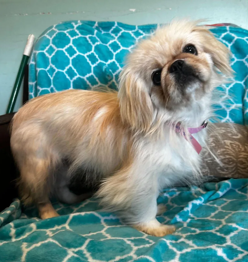 Maylee Mar thumbnail 3