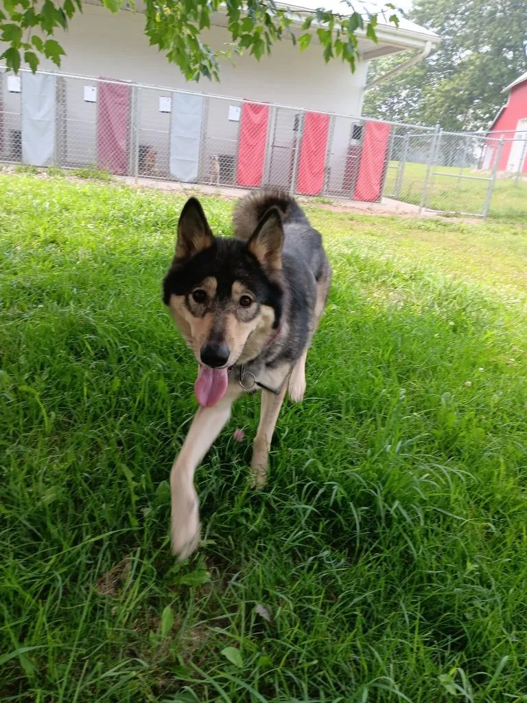 Kaiya