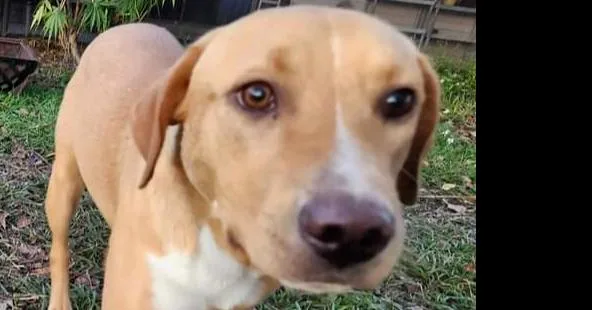 Tucker Lake thumbnail 3