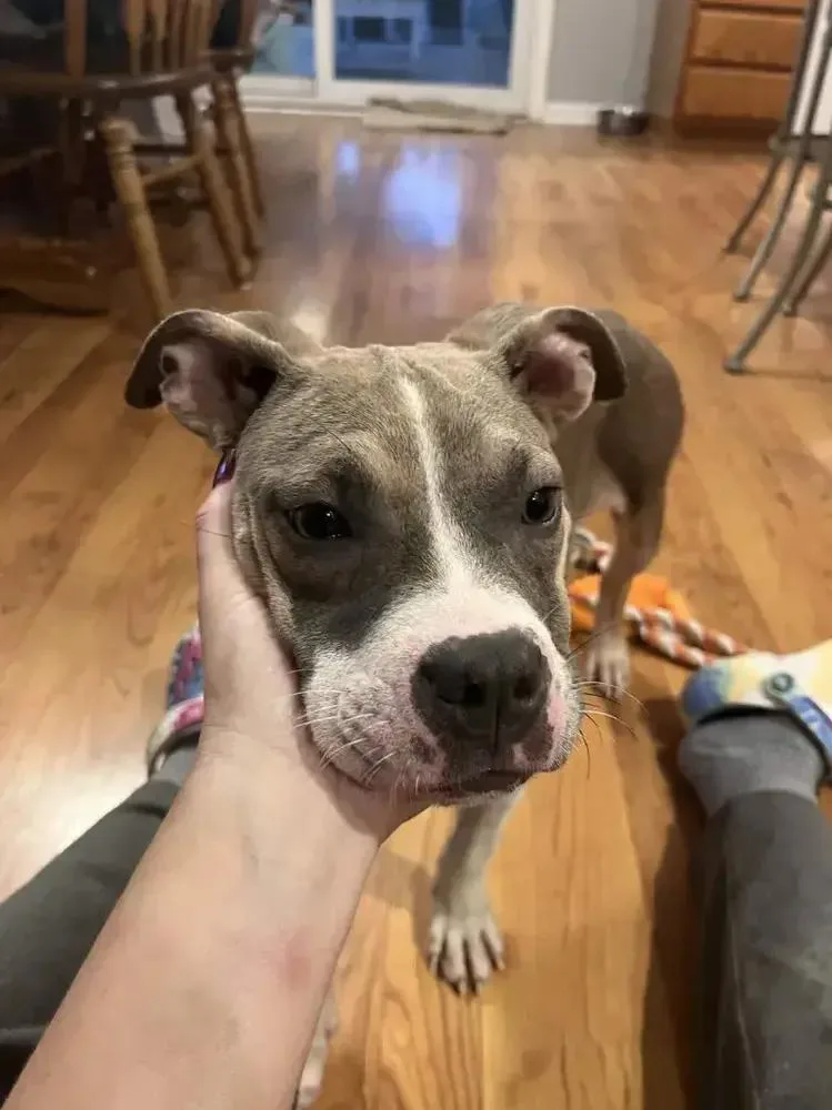 Sadie