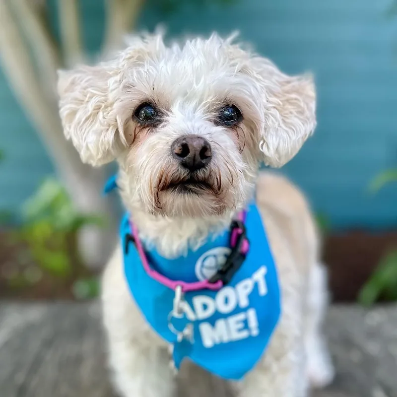 Sunshine Sophie thumbnail 2