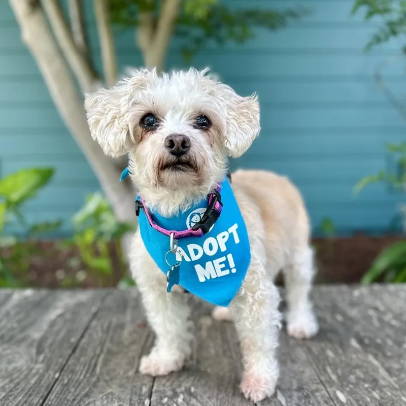 Sunshine Sophie thumbnail 3